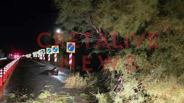 Πτώση δέντρου, Εθνική οδός