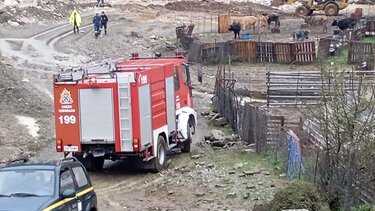 Αγρίνιο κτηνοτρόφος