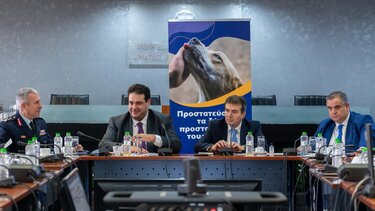 Mνημόνιο, Ζώα Συντροφίας