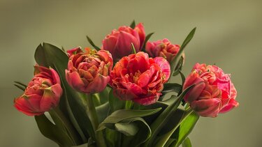 εορτολόγιο