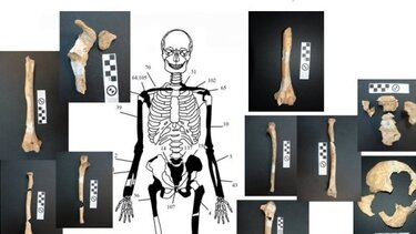 Ολυμπιάδα και Ηφαιστίωνας μεταξύ των νεκρών στον Τύμβο Καστά