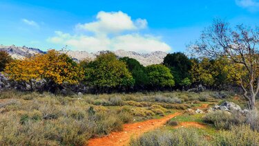 Δρόμοι Ζωής, Εξόρμηση