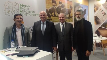 ΕΘΕΑΣ, Τσιάρας