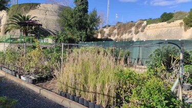 Φυτώριο Δήμος Ηρακλείου