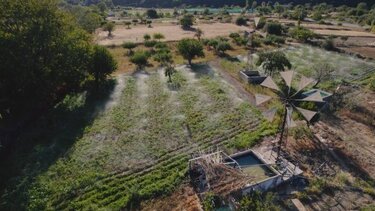 Λασίθι, Αναγεννητική γεωργία, Μεταξάς