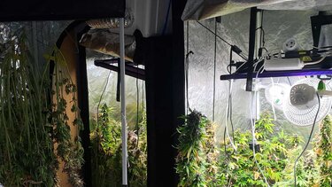 Υδροπονική