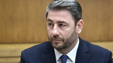 Νίκος Ανδρουλάκης