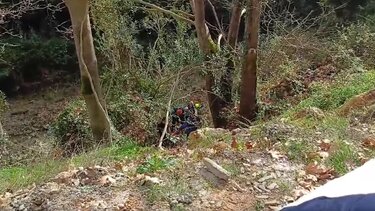 Σκινές Τροχαίο