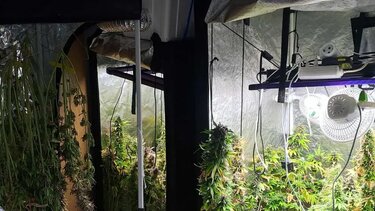 Υδροπονική κάνναβη, Ηράκλειο