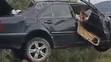 τροχαίο Φυλή