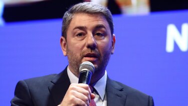 Νίκος Ανδρουλάκης