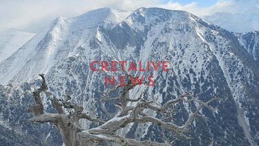 εικόνες Ομαλός