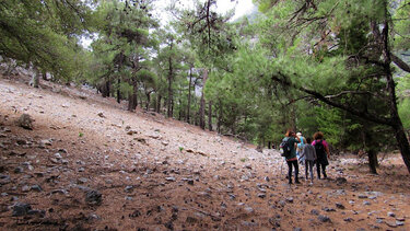 Ορειβατικός Σύλλογος Αγίου Νικολάου