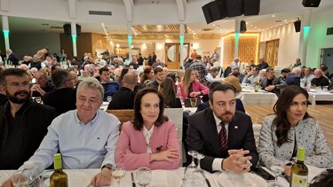 Άννα Διαμαντοπούλου, Νομαρχιακή Επιτροπή ΠΑΣΟΚ