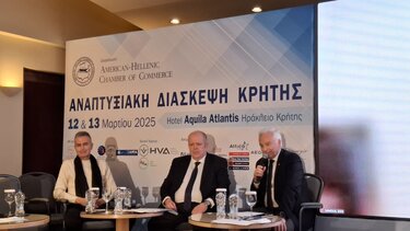 anaptyxiaki diaskepsi