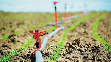 ardeysi kalliergeies nero agrotes