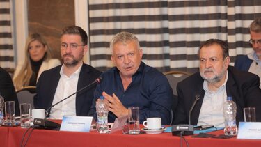 Δήμαρχος Φαιστού, Αναπτυξιακή Διάσκεψη