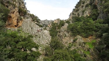 Φαράγγι των Πλατανιών