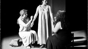 Finist, o Σταυραετός, Θεατρική παράσταση