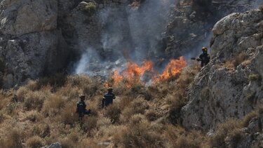 Φωτιά πυρκαγιά πυροσβεστικη