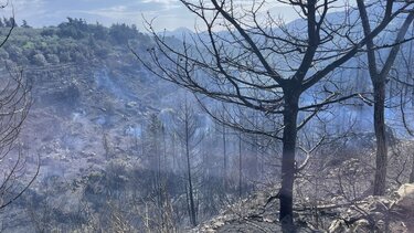 eikona_viber_2025-03-12_07-30-29-758