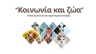 κοινωνία και ζώα