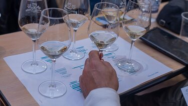 Έκθεση Οινοτικά