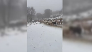 Οροπέδιο Νίδας, Χιόνια