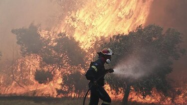 Πυρκαγιά, Πυροσβέστης