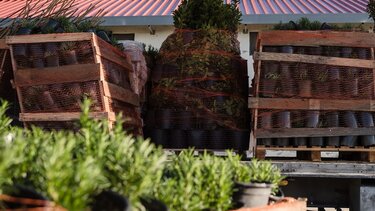 Μελισσοκομικό πάρκο, Σουφλί