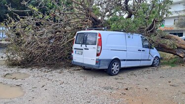Ρόδος δέντρο σε όχημα