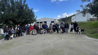 σκυλοβόλτες