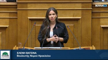 Ελένη Βατσινά, Βουλή