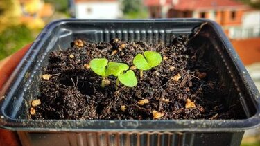 χαρτί- ανακύκλωση