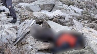 Γερμανός Χανιά