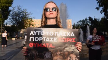 Vegan διαμαρτυρία στο Σύνταγμα κατά της σφαγής των αρνιών