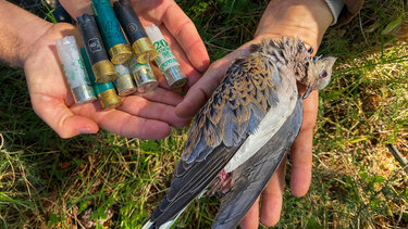 ορνιθολογική