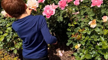 Άρτσι, Μέγκαν Μαρκλ