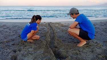 ΑΡΧΕΛΩΝ, Ρέθυμνο