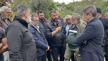 Αυτοψία, Χαλαζόπτωση