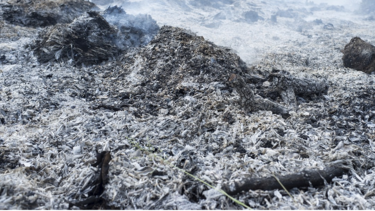 φωτιά, στάχτη