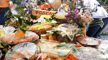 γιορτή πορτοκαλιου