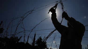 κλάδεμα Αμπελιού