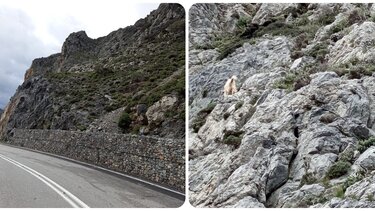 Φαράγγι Κουρταλιώτη