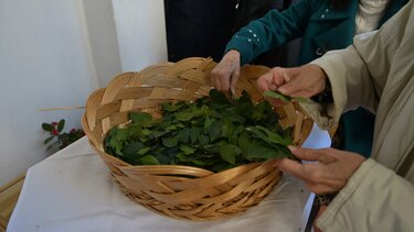 Κυριακή των Βαΐων