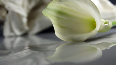 Ψηφίσματα για τον θάνατο του Γιώργου Χατζηδάκη