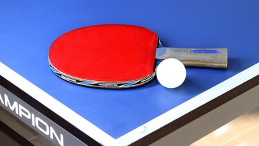 Παγκόσμια Ημέρα Πινγκ Πονγκ