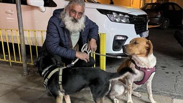 Αστεγος και σκυλακια