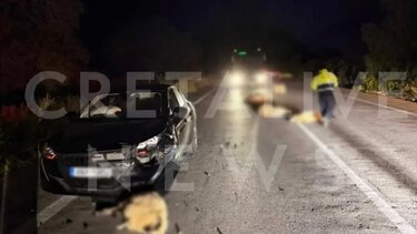 Τροχαίο, πρόβατα