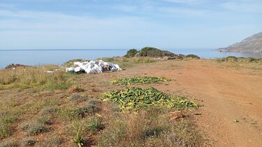 Στον Τσούτσουρο, με θέα τη θάλασσα ... και τα σκουπίδια